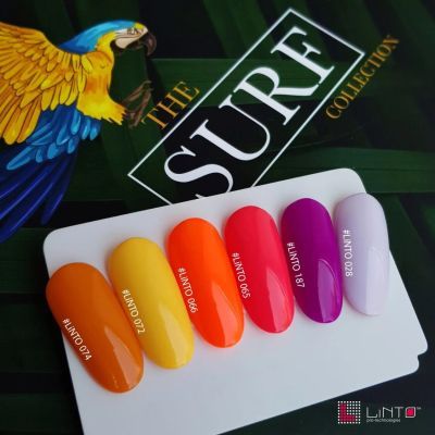 SURF COLLECTION
