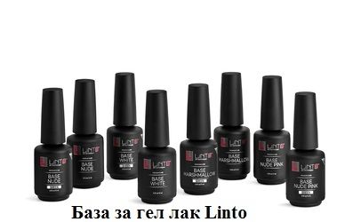 LINTO BASE